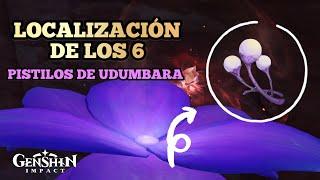 6 PISTILOS DE UDUMBARA | Localizaciones | Genshin Impact 3.6