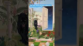 Роспись Кабинета биологии от студии @art_tart.