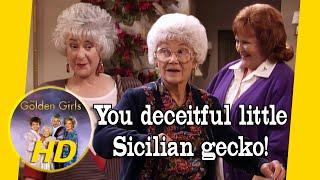 Sophia and Nurse DeFarge part ways after Dorothy's discovery. - Golden Girls HD