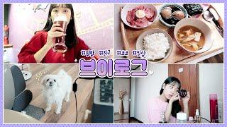 24hrs In-depth Daily Vlog_ Shower/Makeup/Homefood/Puppy/Beer+Fritter/My day [ILULIY]