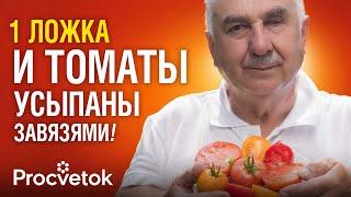ТОМАТЫ ВМИГ ЗАПЛОДОНОСЯТ после этой подкормки в июне!