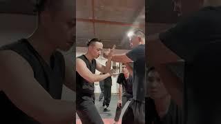 Wing Chun Elbow Attack #wingchun #kungfu #martialarts #功夫 #詠春 #咏春 #詠春拳 #咏春拳