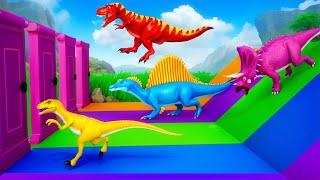 Choose the Right Door: Super Dinosaurs Crazy Game Challenges | Jurassic Adventures