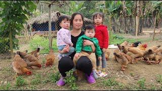 single mother - working hard every day with the dream of a new home | Ly tieu tieu