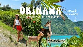 summer in Okinawa | exploring the Kerama islands 🪸️