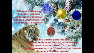 Поздравляю Вас друзья с новым годом! Happy New Year to you friends!