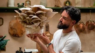 How to Grow Mushrooms in a Buckets At Home (Day 1 to Harvest!)