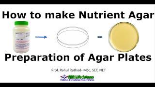 Preparation of nutrient agar plates l How to make agar plate