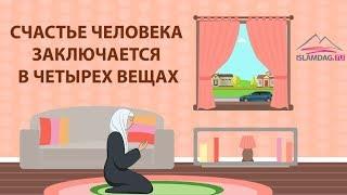 В чем истинное счастье человека по Исламу?