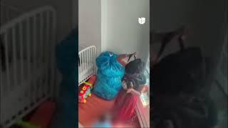 Babysitter caught beating three children in New York
