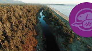 Salmon stream restoration at Pacific Rim National Park Reserve