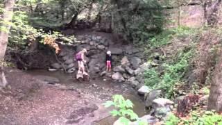 Creek crossing. Man and child. Child foot gets wet.