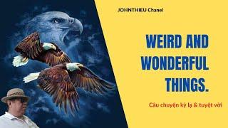 những điều kỳ lạ & tuyệt vời, Weird and Wonderful Things./john thieu