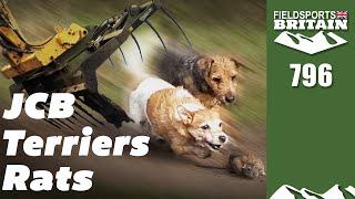 Fieldsports Britain – Rats vs JCB and terriers