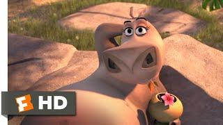 Madagascar: Escape 2 Africa (2008) - Moto Moto Likes You Scene (4/10) | Movieclips