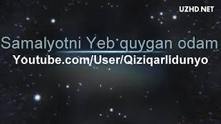 uzhd.net_Samoletni_yeb_qo_ygan_odam__