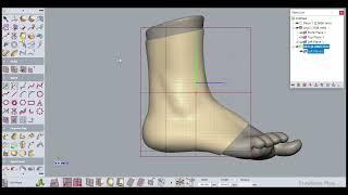 BioCad Modelling of Ankle Foot Orthotics (AFO) with Geomagic Freeform | 3D Sculpting |Medical device