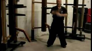 Master Jerry Cook Chinese Boxing 18 set Budda Palm / Wing Chun form5