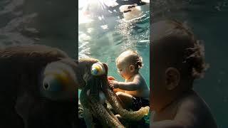 Baby Plays with an Octopus Underwater! #Shorts #OceanAdventure #CuteBaby  #cuteanimals #BeastStudio