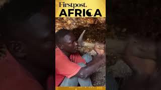 China's Lithium Greed in Nigeria | Firstpost Africa