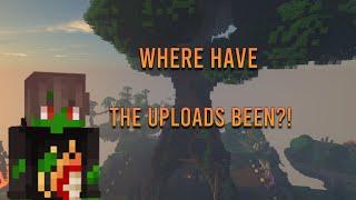Where have I been?!