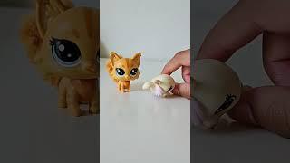 LPS: Predators vs Prey #funny #littlestpetshop #lps #shorts #bunny #rabbit #lpstube #lpstuber