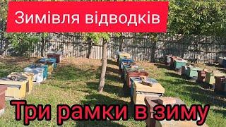 Як успішно підготувати слабкі бджолині сім'ї до зимівлі. Вулик Ппс