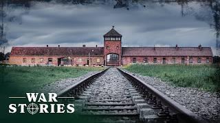 Auschwitz-Birkenau: The Horrifying Story Of The Nazi's Largest Death Camp