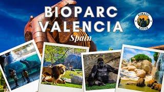 Bioparc Valencia | Must visit place in Valencia | Spain | Animal World