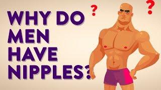 Why Do Men Have Nipples? Can Men Breastfeed and Who Are The Milkmen?