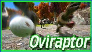 ARK: Survival Evolved - OVIRAPTOR Spotlight! (Ghillie Suit & Oviraptors Update)