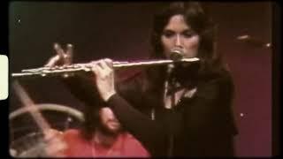 Ann Wilson ripping a killer flute solo #annwilson #heart #flute #flutesolo