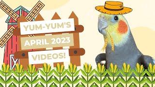 YumYum’s April Videos