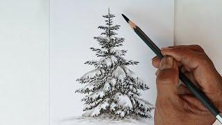 How to draw a snowfall tree by pencil with easy ways.