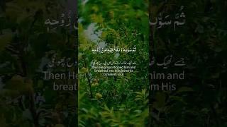 1. "The Lion of Islam"#"The Leader of the Ummah"#viralshort"#lion of Islam #allah