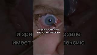 Казни и пытки. Чем заменили «весёлые» мероприятия? #чтопосмотреть #shorts #фильм #кинонах #кино