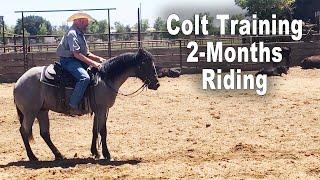 Horse Training - Colt With 2 Months Riding