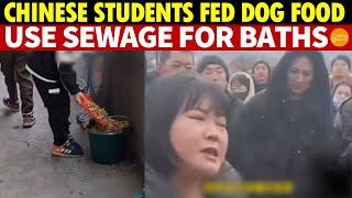 Chinese Students Fed Dog Food Daily, Bathed in Sewage, Compete for Manure Jobs Post-graduation