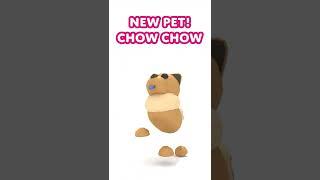  NEW PET ALERT!  CHOW-CHOW!  Adopt Me! on Roblox #shorts