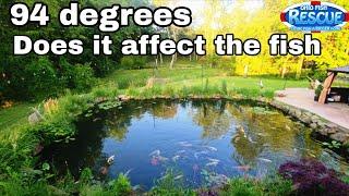 How are the tanks handling the hi temps ?