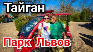 Тайган Парк Львов Олег Зубков Человек Лев Чук Люся Дана Симба Шерхан Асада