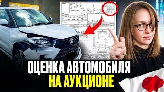 АУКЦИОН ЗАВЫСИЛ ОЦЕНКУ?! | ПРАВИЛЬНОЕ чтение аукционного листа - Ваш ключ к удачной покупке!