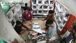 01 NVR IP Camera14 01 NVR 20230830200707 20230830200808 87433522