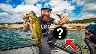 NEW FAVORITE FISHING LURE SLAYS in Austin TX  feat. Justin Royal on Lake Travis