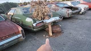 Classic Autos found in Tennessee Car Lot Must See for All that Loves Cars