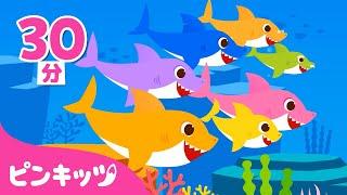 もっともっと サメのかぞく＆人気曲メドレー | Baby Shark More And More | 子どもの歌 | ピンキッツ! 童謡と子どもの動画