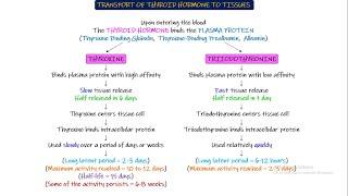 Transport of Thyroid Hormone to tissues. Chapter 77 part 3. Guyton and Hall Physiology.