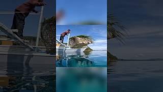 They Dropped a Giant Trap #fishingtips #fish #facts
