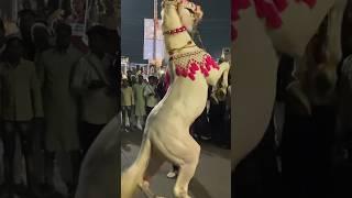 Ha Mein alamdar #nadeemsarwar #nohay #noha #muharram #moharram #azadar #shorts #shortvideo