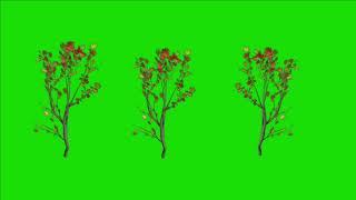 plants moving green screen video for free download @vfxtools